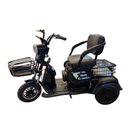 Электротрицикл трехколесный CityCoco TRIKE GT-EV3