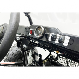 Багги GreenCamel Намиб T10 (60V 2000W R8 Дифф)