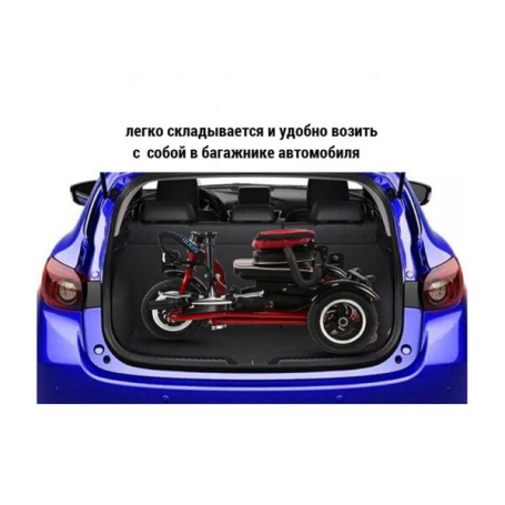 Электротрицикл Elbike Адъютант Twix А2