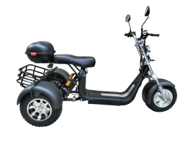 Трехколесный электроскутер Citycoco Trike GT-X11 Grand