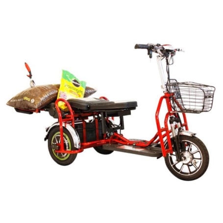 Электротрицикл Elbike Адъютант Double 