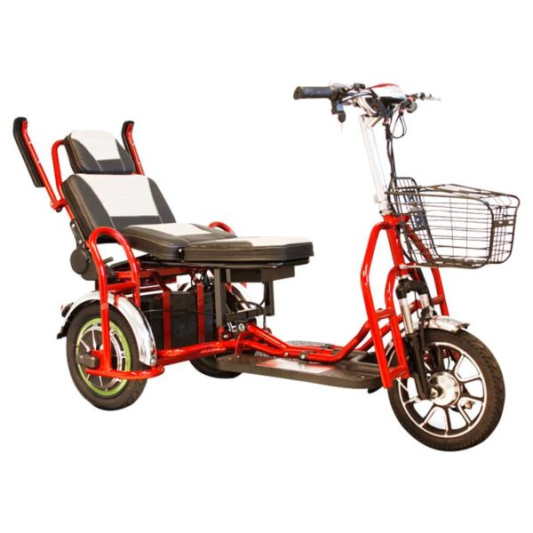 Электротрицикл Elbike Адъютант Double Twix А4