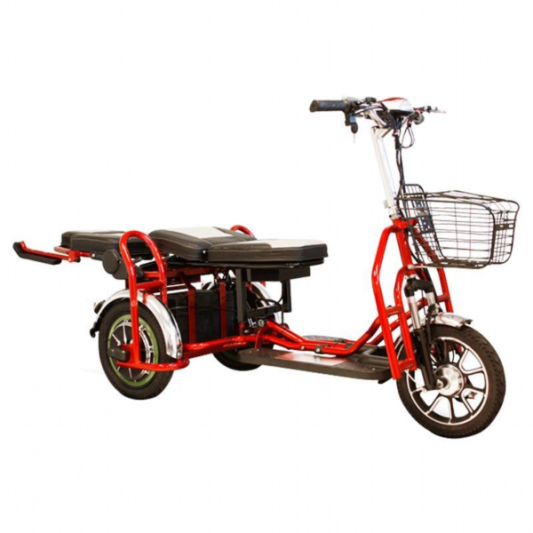 Электротрицикл Elbike Адъютант Double Twix А4