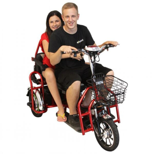 Электротрицикл Elbike Адъютант Double Twix А4