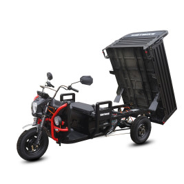 Грузовой электротрицикл SIBTRIKE PRO CARGO (2025)