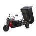 Грузовой электротрицикл SIBTRIKE PRO CARGO (2025)