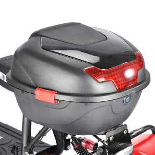 Электротрицикл WHITE SIBERIA TRIKE MINI RED 1500W