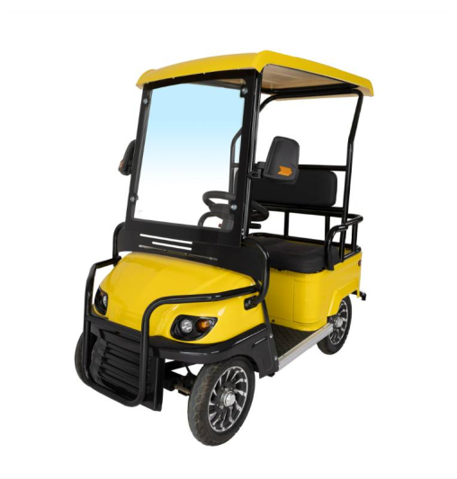 Гольфкар GreenCamel A2 ECO (2 seats 1000W R8) пониженная
