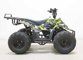 Квадроцикл GreenCamel Гоби K51 (36V 800W R7 Цепь) быстросъем, ножной тормоз  