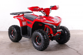 Квадроцикл GreenCamel Гоби K90 (48V 750W R7 Дифф) LUX Bluetooth