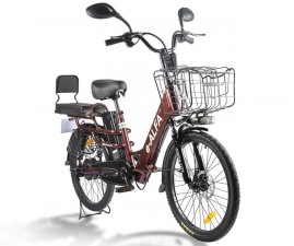 Электровелосипед GREEN CITY e-ALFA LUX, красный