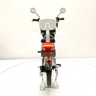 Электровелосипед GreenCamel Транк 18 V8 (R18 500W 60v10Ah)