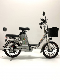 Электровелосипед GreenCamel Транк 20 V8 PRO (R20 500W 60V20Ah) 2х подвес