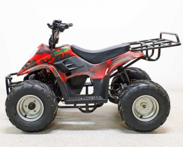 Квадроцикл GreenCamel Гоби K70 (36V 800W R7 Дифференциал)