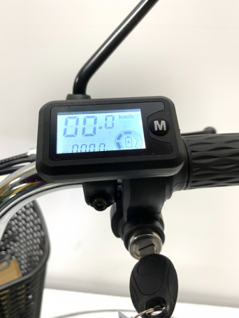 Электровелосипед GreenCamel Транк 20 V8 спицы (R20 500W 60V10Ah)