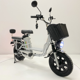 Электровелосипед GreenCamel Транк Монстр (R16FAT 800W 48V15Ah)