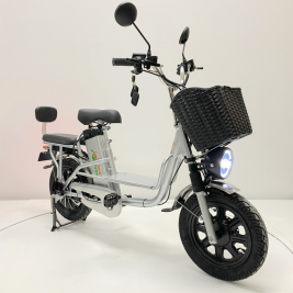 Электровелосипед GreenCamel Транк Монстр (R16FAT 800W 60V20Ah)