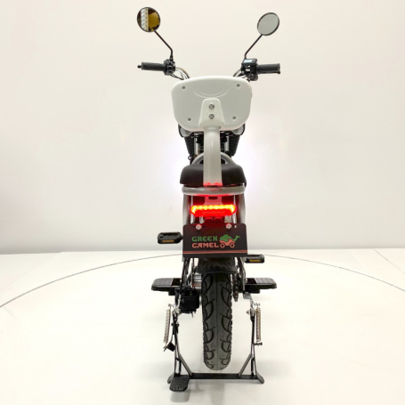 Электровелосипед GreenCamel Транк Монстр (R16FAT 800W 60V20Ah)