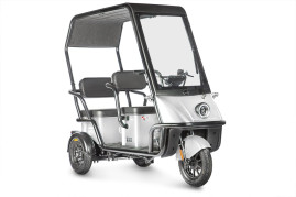 Электротрицикл Wanshida NIPLA 500 60V 1000Вт