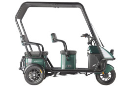 Электротрицикл Wanshida NIPLA 500 60V 1000Вт