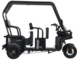 Электротрицикл Wanshida NIPLA 570 60V 1000Вт