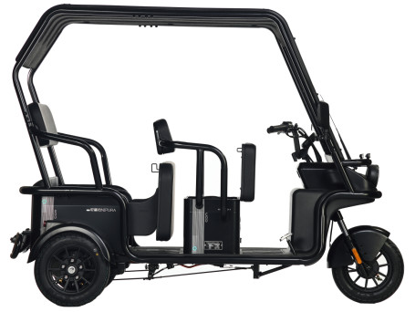 Электротрицикл Wanshida NIPLA 570 60V 1000Вт