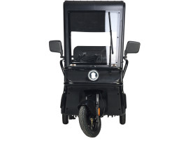 Электротрицикл Wanshida NIPLA 570 60V 1000Вт