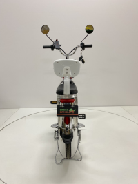 Электровелосипед GreenCamel Транк 20 V8 литой (R20 500W 60V10Ah)