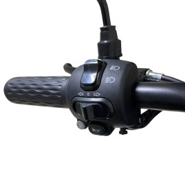 Электротрицикл CityCoco TRIKE GT-EV5 