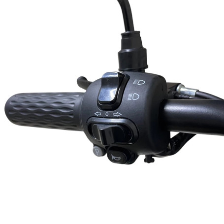 Электротрицикл CityCoco TRIKE GT-EV5 