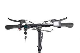 Электросамокат WS-LUNA 800W, черный