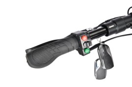 Электросамокат WS-LUNA 800W, черный