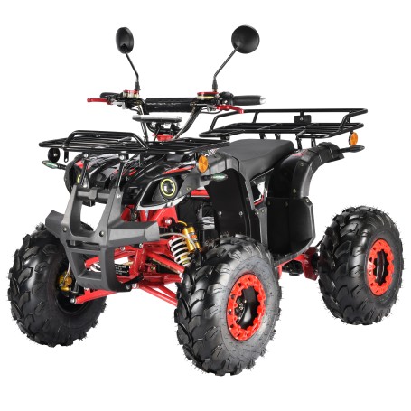 Электроквадроцикл White Siberia Sneg Pro 3000W