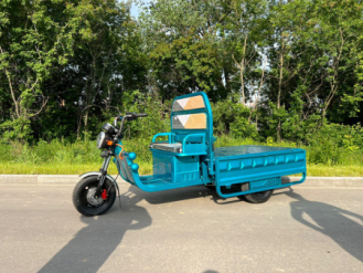 Грузовой электротрицикл Ikingi С06