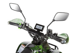Электроквадроцикл Voltrix Hornet 36V800W