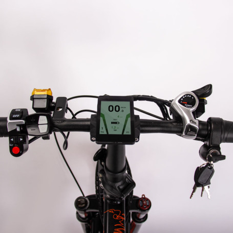 Электровелосипед Rich Bit TOP-016 500W