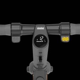 Электросамокат Ninebot E25A