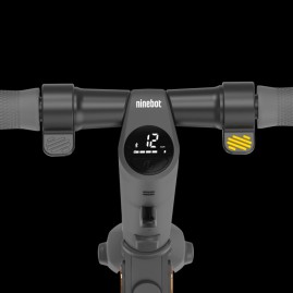 Электросамокат Ninebot E25A