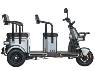 Электротрицикл Wanshida U1-X 60V 800Вт