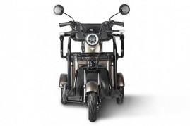 Электротрицикл Rutrike Караван, зеленый