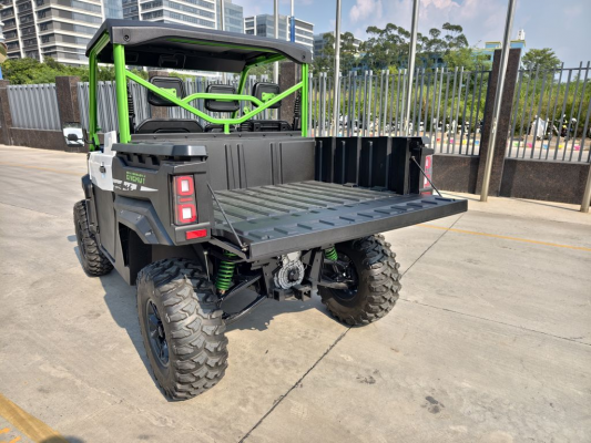 Багги CHEETAH Electric UTV