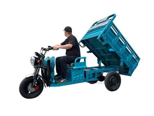 Грузовой электротрицикл Rockwild Cargo Pro Q05