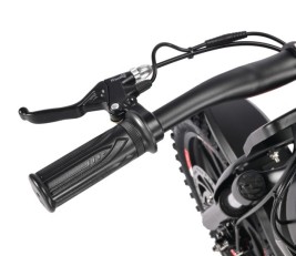 Электромотоцикл WHITE SIBERIA MUXA 1300W детский 